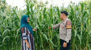 Polisi Bersama Masyarakat: Polsek Babussalam Sosialisasikan Bahaya Karhutla, Warga Diimbau Tidak Membakar Sisa Panen